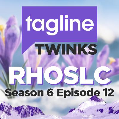 The Salt Lake City tea party (Real Housewives of Salt Lake City S06E12 Recap)