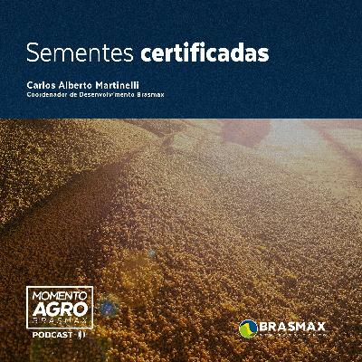 Momento AGRO Brasmax #17 - Sementes certificadas