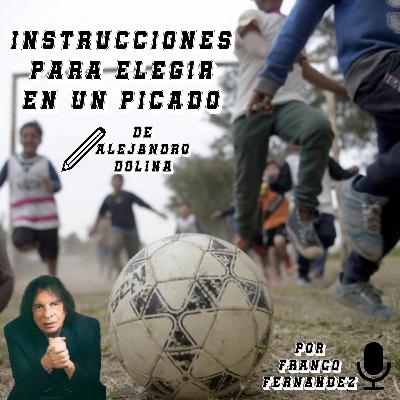 "INSTRUCCIONES PARA ELEGIR EN UN PICADO" de Alejandro Dolina