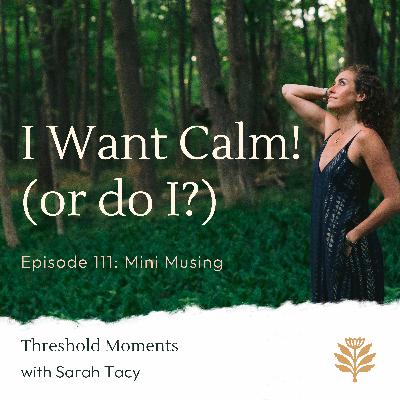 111 - I Want Calm! (or do I?)