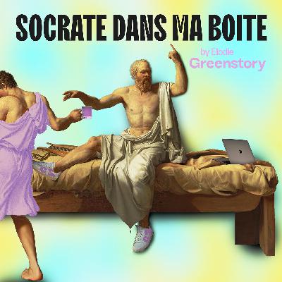 Bande-annonce "Socrate dans ma boîte"