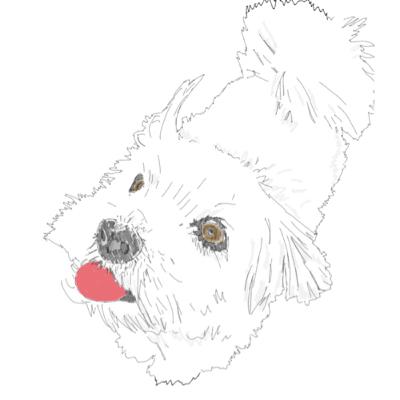 Immer auf die Kleinen!