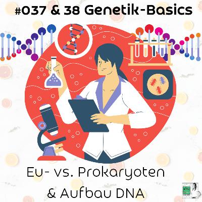 #038 - LIVE-Special 🎙 Wie ist DNA 🧬 (im Vergleich zu RNA) aufgebaut?