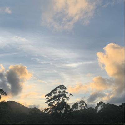 Slow sub-tropical Sunrise