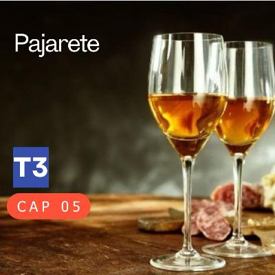 t3 cap 05. Pajarete #puisss