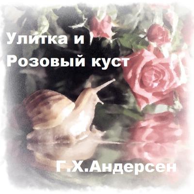 Улитка и Розовый куст. Г.Х. Андерсен