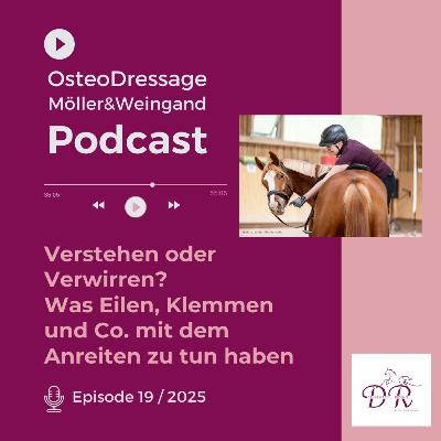 Verstehen oder verwirren? Was Eilen, Klemmen und Co. mit dem Anreiten zu tun haben