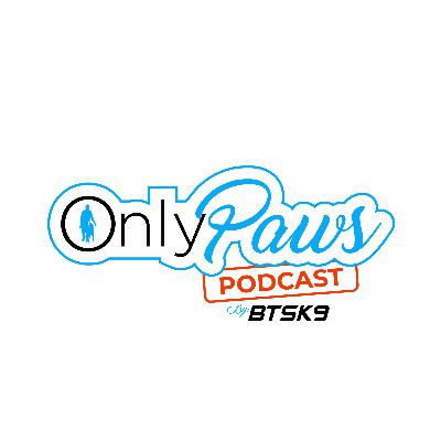 We go video and updates