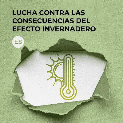 Lucha contra las consecuencias del efecto invernadero