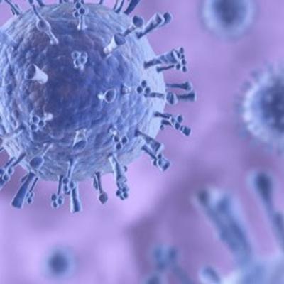 Herpes Genital