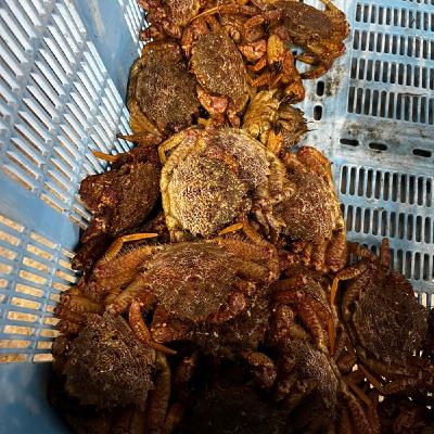 だれもやりたがらない仕事ほど燃える