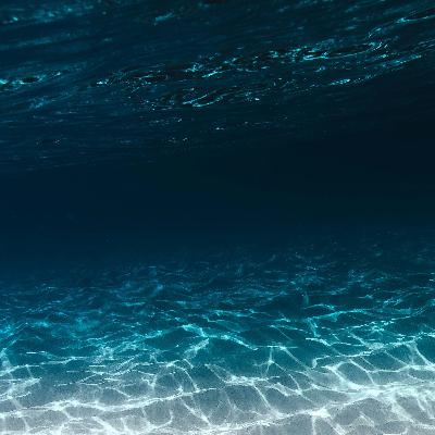 20250204 - Submerge In The Moment