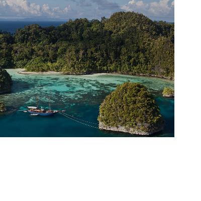 Sistema Cardiovascular