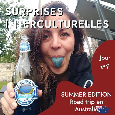 [SUMMER EDITION] Jour 4 - Road trip solo en autostop en Australie