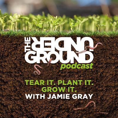 Tear it. Plant it. Grow it. With Jamie Gray