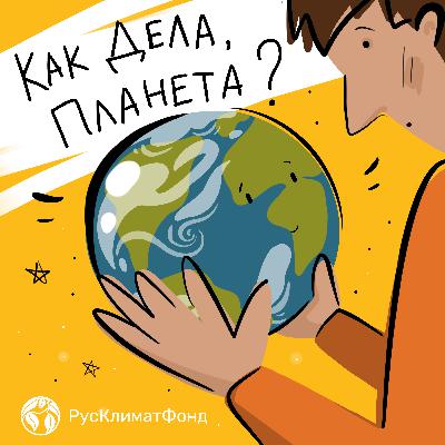 Почему сажать деревья важно и как это правильно делать?