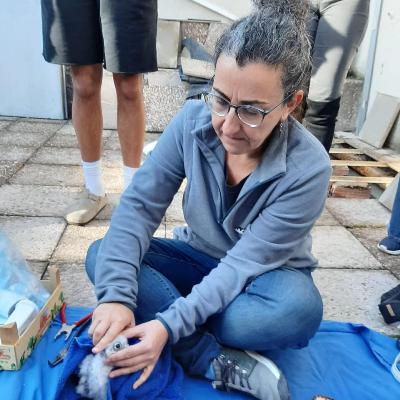 El bosque habitado - De ornitólogas pioneras y de halcones - 07/12/25