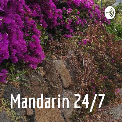 Mandarin 24/7 - 社会 society | 2026 : 为什么 “马到成功”? why Mǎ dào chéng gōng? | HSK 5 |Ｂ2