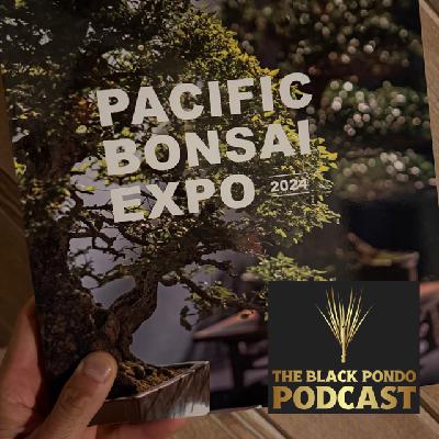 #33 PBE Companion w/ Peter Tea, Eric Schrader and Cesar Ordonez #33 PBE Companion w/ Peter Tea, Eric Schrader and Cesar Ordonez