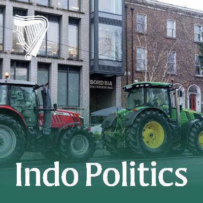 Indo Politics – By-Elections Loom and Bord Bia under fire