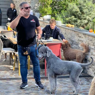 A legelső dolog amit megtanítok egy kutyának - Nyakas Gábor Kutya Brancs A legelső dolog amit megtanítok egy kutyának - Nyakas Gábor Kutya Brancs