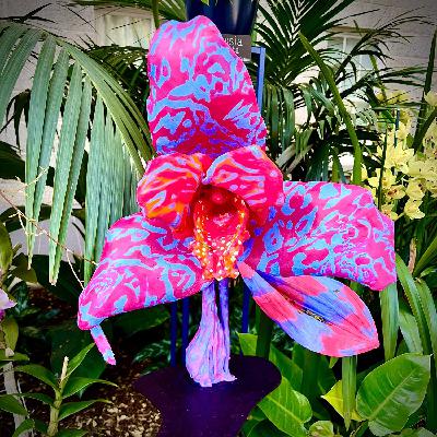 episode 126: Snake Plant and Snake Berry + the Future of Orchids