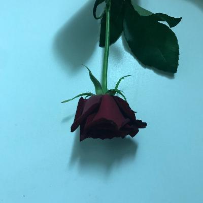 #126 近況報告！ワクチン/推し/転職/お返しトーク from Radiotalk