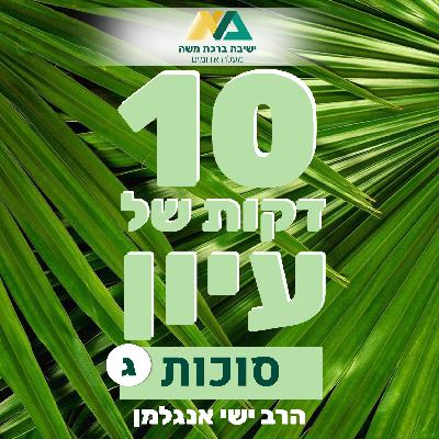 3 - סוכה דירת קבע: על שום מה?