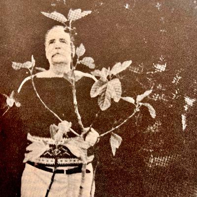 Five Ripe Pears by William Saroyan (English)