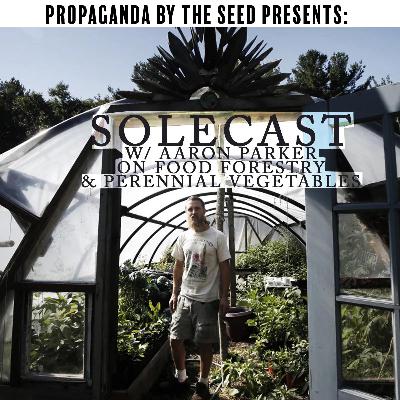 Repodcast: Solecast: Food Forestry & Perennial Vegetables w/ Aaron Parker of Edgewood Nursery