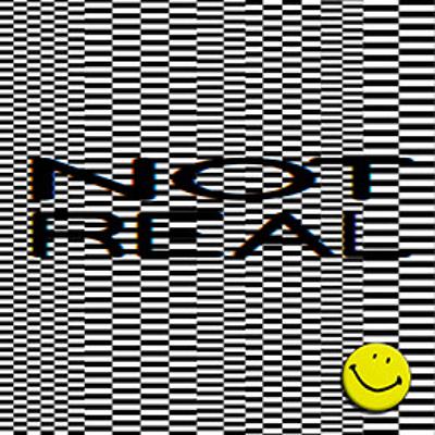 Not Real FM 006
