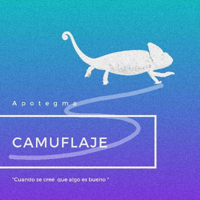 Camuflaje