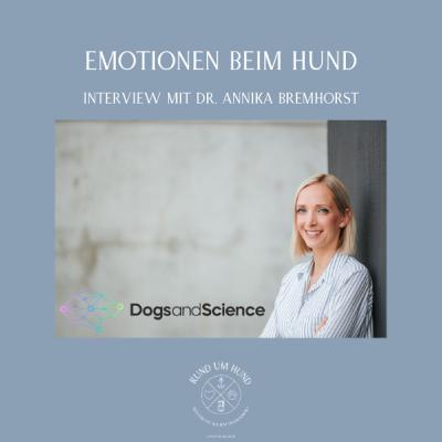 Emotionen beim Hund - Interview mit Dr. Annika Bremhorst