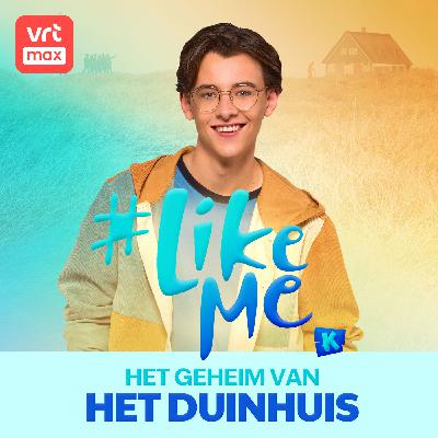 4. Het mislukte plan