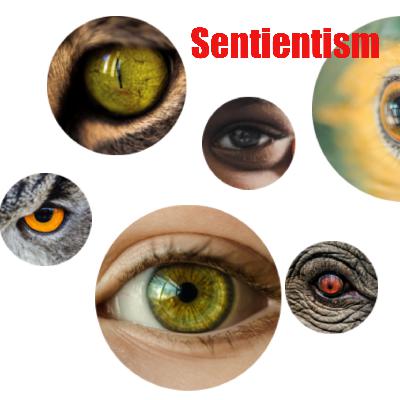 How Can a Sentientist Philosophy Improve the World? Guest Jamie Woodhouse Combines Reason with Compassion for All Sentient Beings