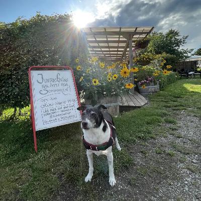 audio corregit - Episodi binaural: L’estiu a Suècia