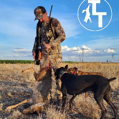 S2 E17: Tony Tebbe S2 E17: Tony Tebbe