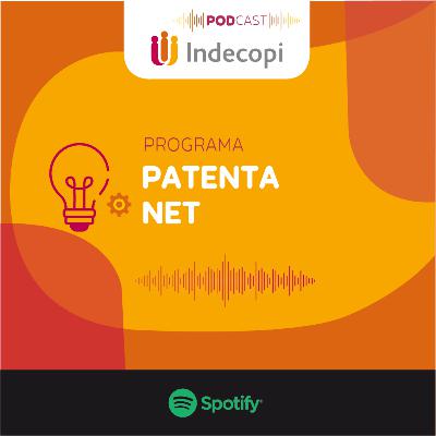 Patentes verdes y experiencia en Kiwie 2023