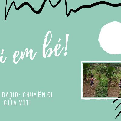 chuyến đi của vịt - #1 gửi em bé