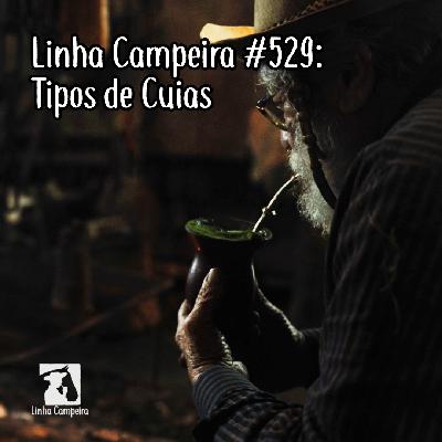 Episódio #529 - Tipos de Cuias