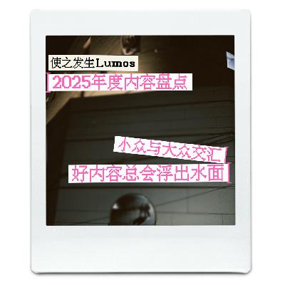 2025年度内容盘点：公共领域一再塌缩，个人领域骨肉疯长