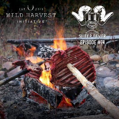 EP74 Wild Harvest Initiative with Shane Mahoney