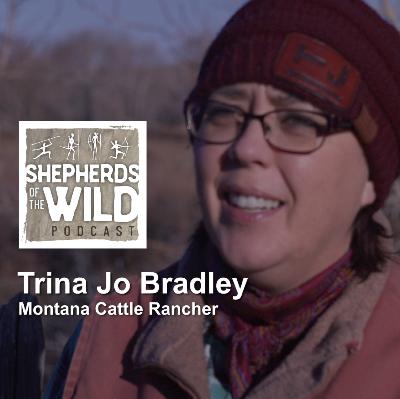 Ep 46 - Trina Jo Bradley, Mt Cattle Rancher