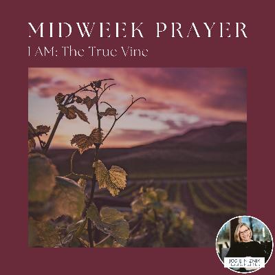 I Am the True Vine | Midweek Prayer (John 15:1–2, 4–5)