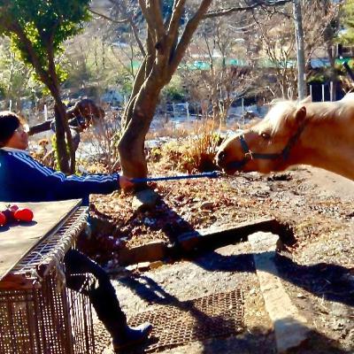 082 自然と遊ぶ、感覚を統合する〜三陸駒舎はなぜ感覚統合に良いのか（澤田いのりさんとの感覚統合の対話2）