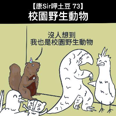 【康Sir呷土豆 73】校園野生動物