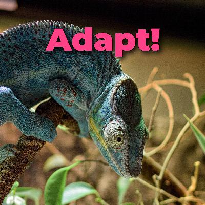 Episode 21: Take the Plunge and Figure It Out as You Go