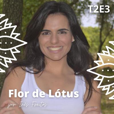 T2E3: Medicina Ayurveda, com Mafalda Ramos