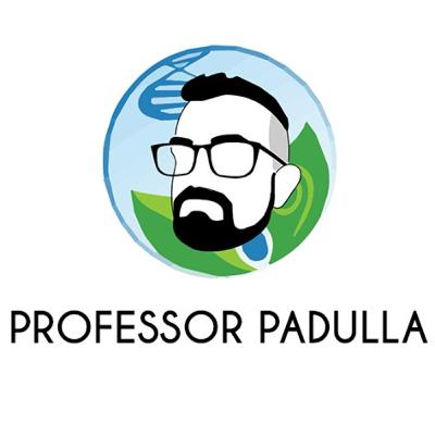 Nova pandemia a caminho?