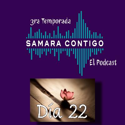 Diario de Resiliencia - Día 22
